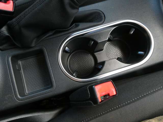 フォルクスワーゲン ザ　ビートル デザイン H25年 (関東) 99