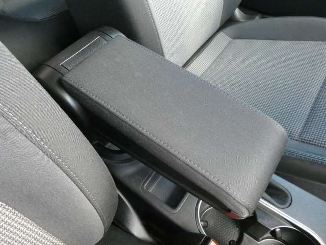 フォルクスワーゲン ザ　ビートル デザイン H25年 (関東) 99