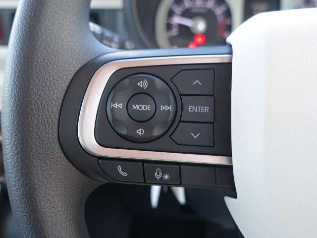 ダイハツ ムーヴ　キャンバス ６６０ ストライプス Ｇ R6年 (東海) 99