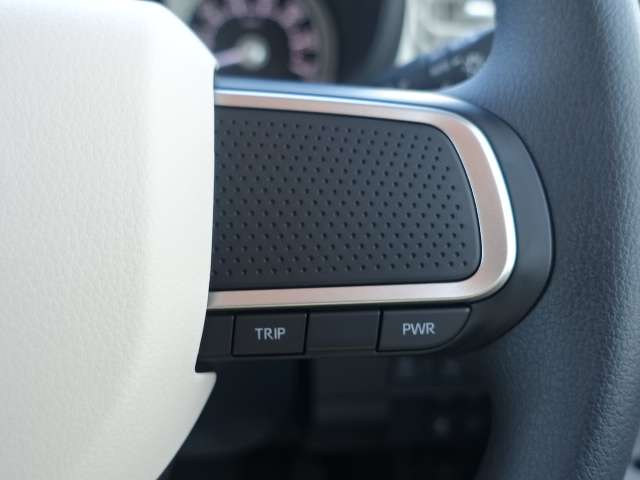 ダイハツ ムーヴ　キャンバス ６６０ ストライプス Ｇ R6年 (東海) 99