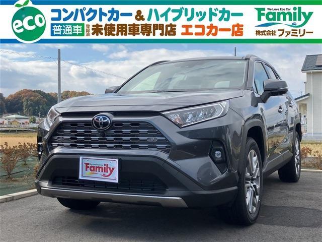 トヨタ ＲＡＶ４ ２．０ Ｇ Ｚパッケージ ４ＷＤ R6年 (東海) 99