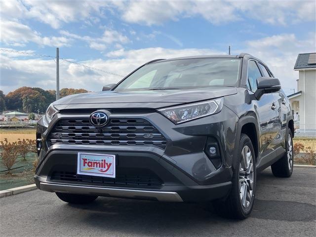 トヨタ ＲＡＶ４ ２．０ Ｇ Ｚパッケージ ４ＷＤ R6年 (東海) 99