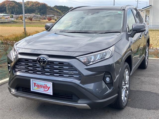 トヨタ ＲＡＶ４ ２．０ Ｇ Ｚパッケージ ４ＷＤ R6年 (東海) 99