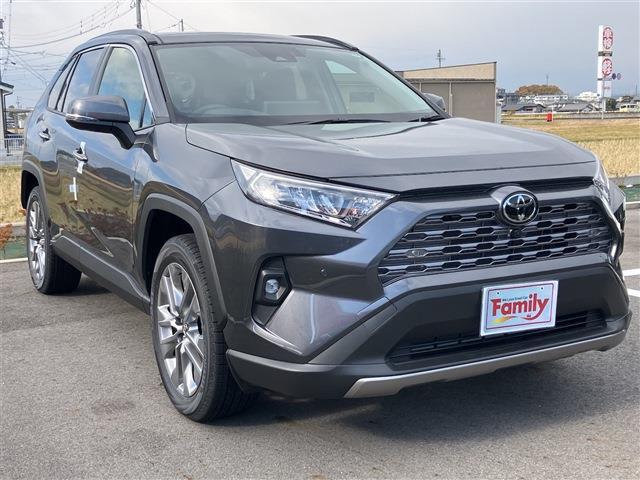 トヨタ ＲＡＶ４ ２．０ Ｇ Ｚパッケージ ４ＷＤ R6年 (東海) 99