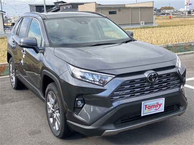 トヨタ ＲＡＶ４ ２．０ Ｇ Ｚパッケージ ４ＷＤ R6年 (東海) 99