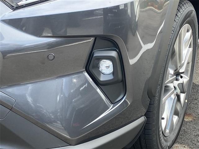 トヨタ ＲＡＶ４ ２．０ Ｇ Ｚパッケージ ４ＷＤ R6年 (東海) 99