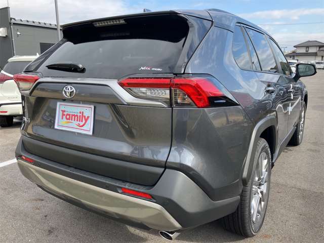 トヨタ ＲＡＶ４ ２．０ Ｇ Ｚパッケージ ４ＷＤ R6年 (東海) 99
