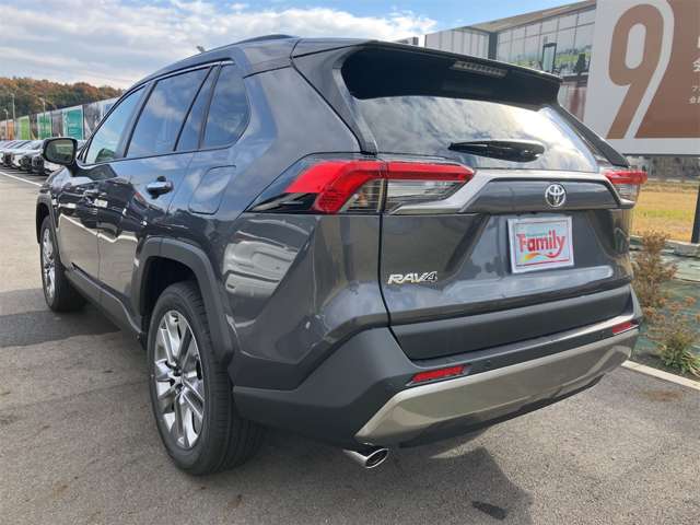 トヨタ ＲＡＶ４ ２．０ Ｇ Ｚパッケージ ４ＷＤ R6年 (東海) 99