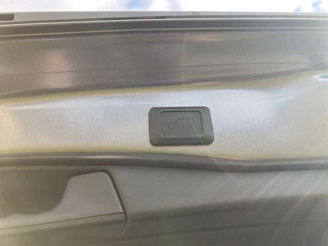 トヨタ ＲＡＶ４ ２．０ Ｇ Ｚパッケージ ４ＷＤ R6年 (東海) 99