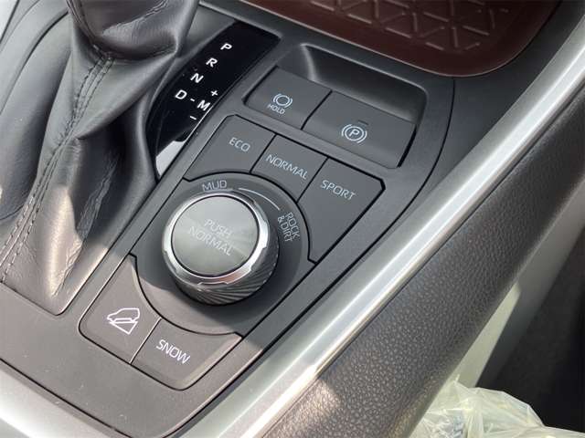 トヨタ ＲＡＶ４ ２．０ Ｇ Ｚパッケージ ４ＷＤ R6年 (東海) 99