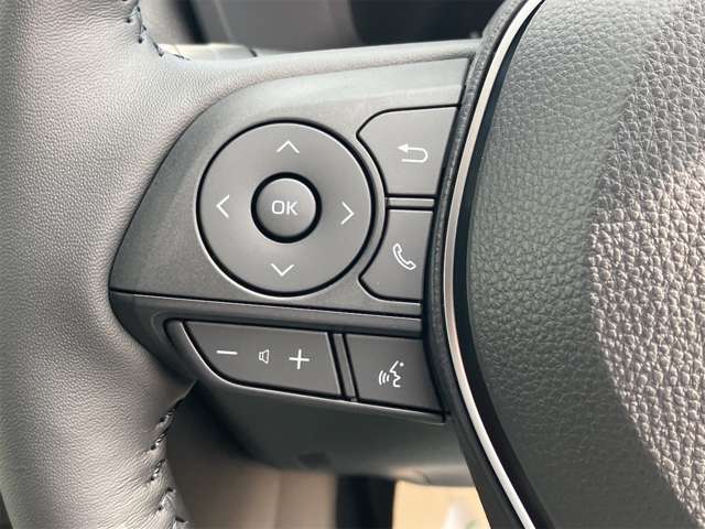 トヨタ ＲＡＶ４ ２．０ Ｇ Ｚパッケージ ４ＷＤ R6年 (東海) 99