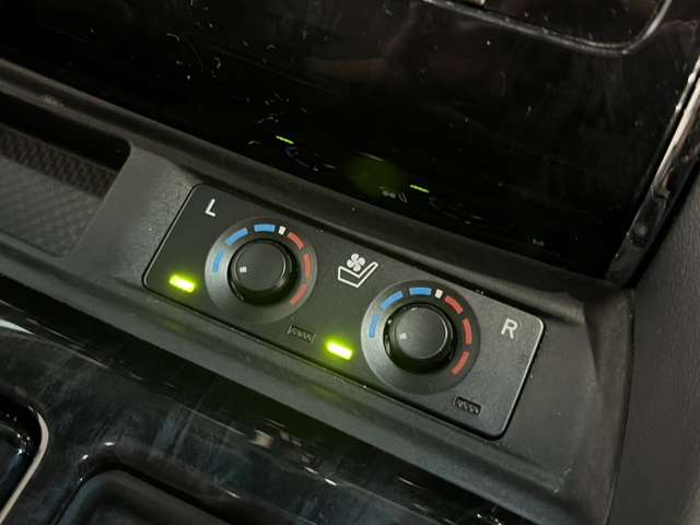 トヨタ アルファード ２．５ Ｓ Ｃパッケージ R2年 (関東) 99