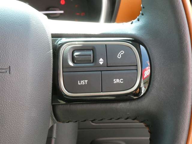 シトロエン Ｃ３　エアクロス　ＳＵＶ シャイン R4年 (関東) 99