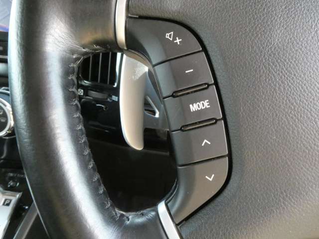 三菱 デリカ　Ｄ：５ ２．４ ローデスト Ｇ パワーパッケージ ４ＷＤ H27年 (関東) 99