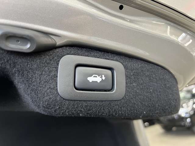 レクサス ＬＳ４６０ バージョンＣ　Ｉパッケージ H27年 (関東) 99