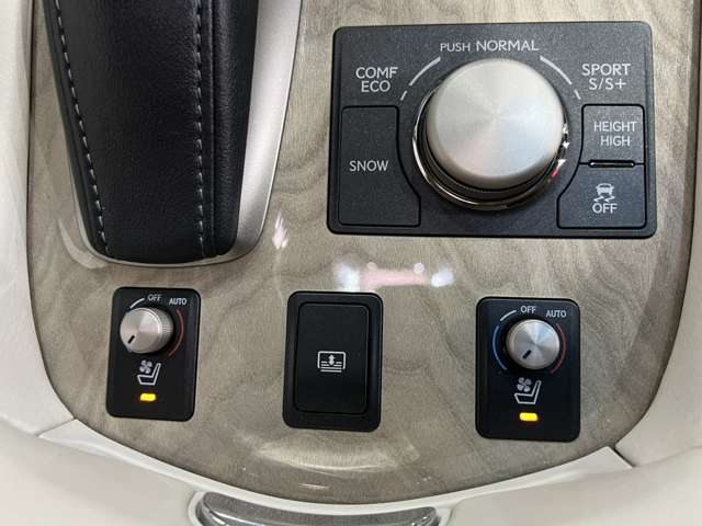 レクサス ＬＳ４６０ バージョンＣ　Ｉパッケージ H27年 (関東) 99