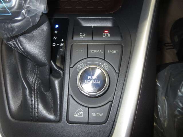 トヨタ ＲＡＶ４ ２．０ Ｇ Ｚパッケージ ４ＷＤ R1年 (九州・沖縄) 99