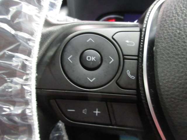 トヨタ ＲＡＶ４ ２．０ Ｇ Ｚパッケージ ４ＷＤ R1年 (九州・沖縄) 99