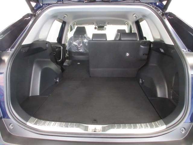 トヨタ ＲＡＶ４ ２．０ Ｇ Ｚパッケージ ４ＷＤ R1年 (九州・沖縄) 99