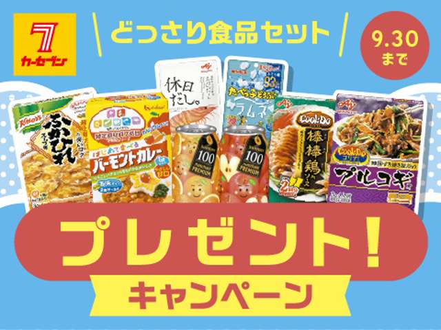 ダイハツ ミラ　イース ６６０ Ｌ ＳＡＩＩＩ ４ＷＤ H30年 (北海道) 99