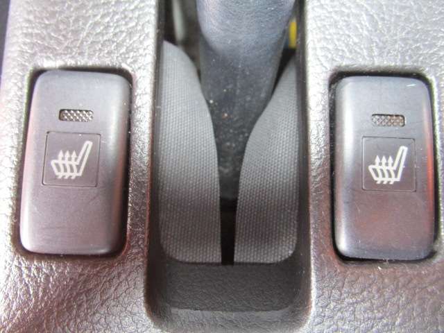 ダイハツ コペン ６６０ アルティメットエディション H19年 (関東) 99