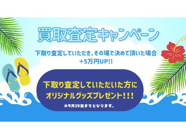 ポルシェ ボクスター スパイダー H28年 (関東) 99