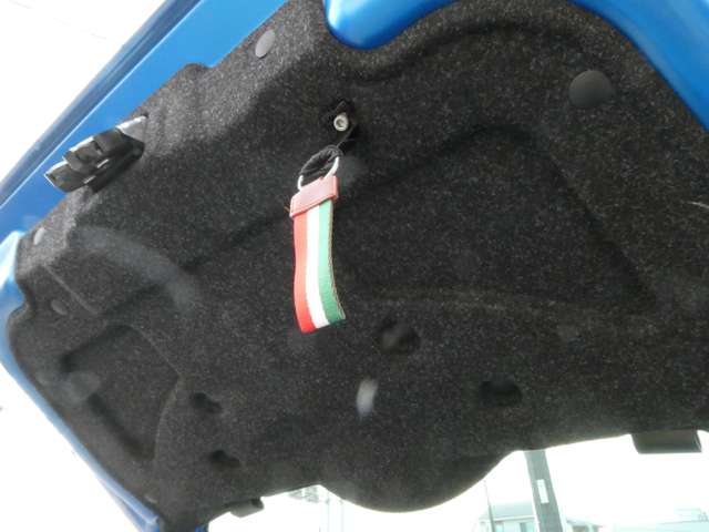 フィアット ５００（チンクエチェント） Ｓ H28年 (関東) 99