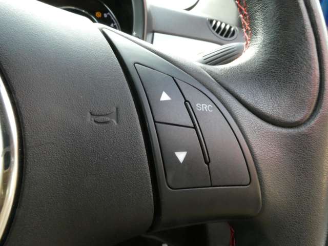 フィアット ５００（チンクエチェント） Ｓ H28年 (関東) 99