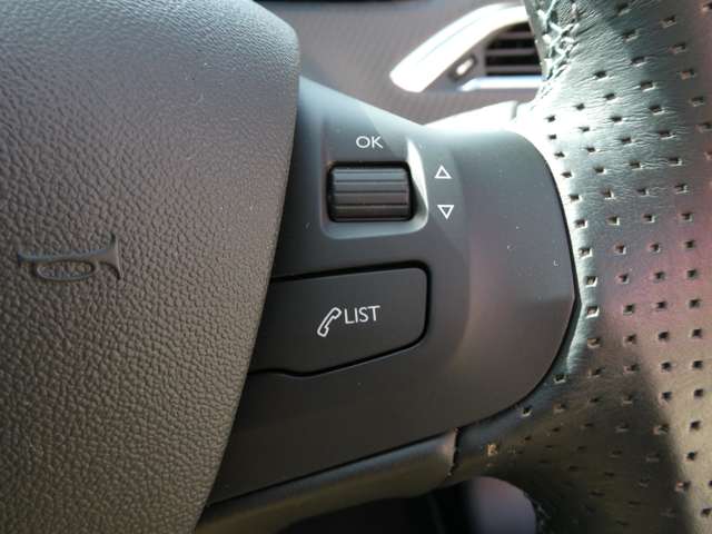 プジョー ２００８ クロスシティ R2年 (関東) 99