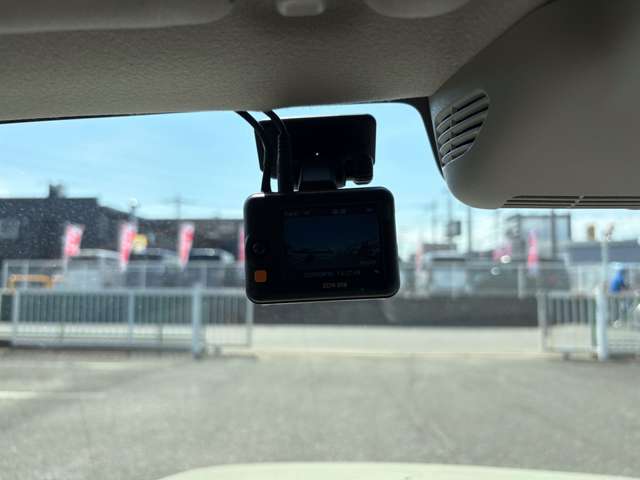 スズキ アルトラパン　ＬＣ ＬＣ ６６０ Ｘ R6年 (関東) 99