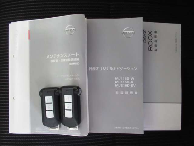 日産 デイズ　ルークス ６６０ ハイウェイスターＸ Ｇパッケージ H29年 (九州・沖縄) 99