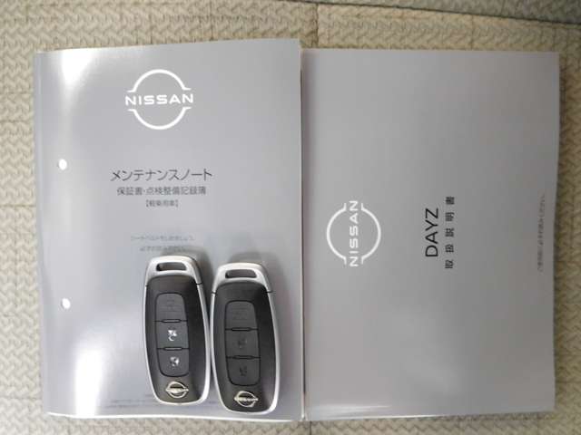 日産 デイズ ６６０ Ｘ R6年 (九州・沖縄) 99