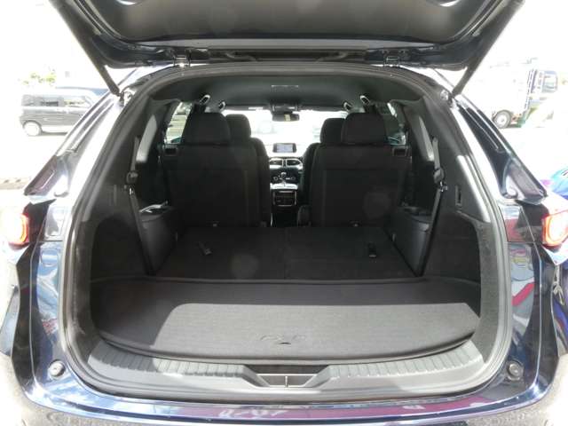 マツダ ＣＸ−８ ２．２ ＸＤ プロアクティブ ディーゼルターボ ４ＷＤ H30年 (関東) 99