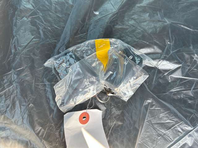 スズキ ハスラー ６６０ タフワイルド ４ＷＤ R7年 () 99