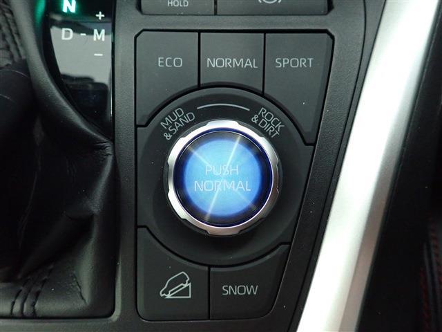 トヨタ ＲＡＶ４ ２．０ アドベンチャー オフロード パッケージＩＩ ４ＷＤ R5年 (関東) 99