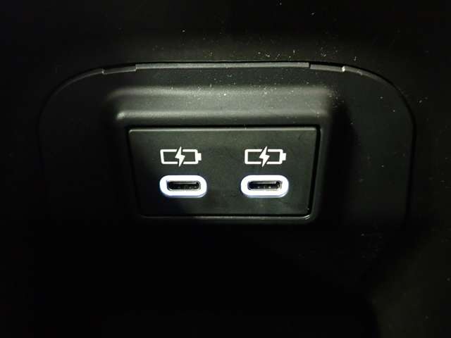 トヨタ ＲＡＶ４ ２．０ アドベンチャー オフロード パッケージＩＩ ４ＷＤ R5年 (関東) 99