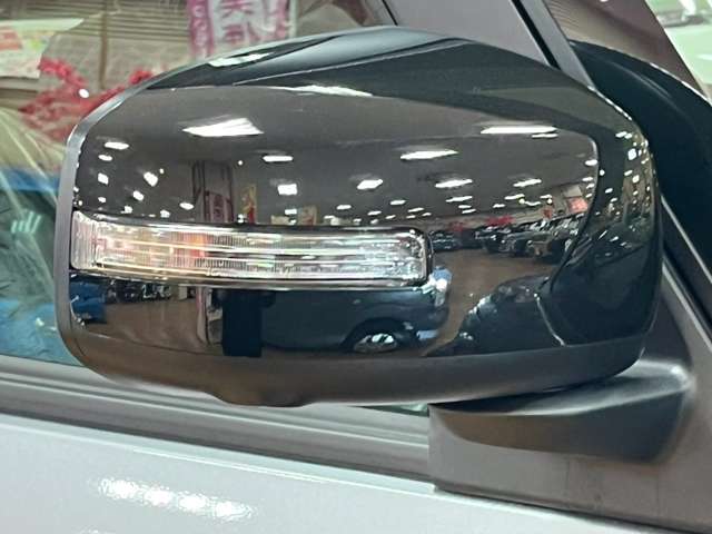 三菱 デリカ　ミニ ６６０ Ｔ プレミアム ４ＷＤ R6年 (北海道) 99