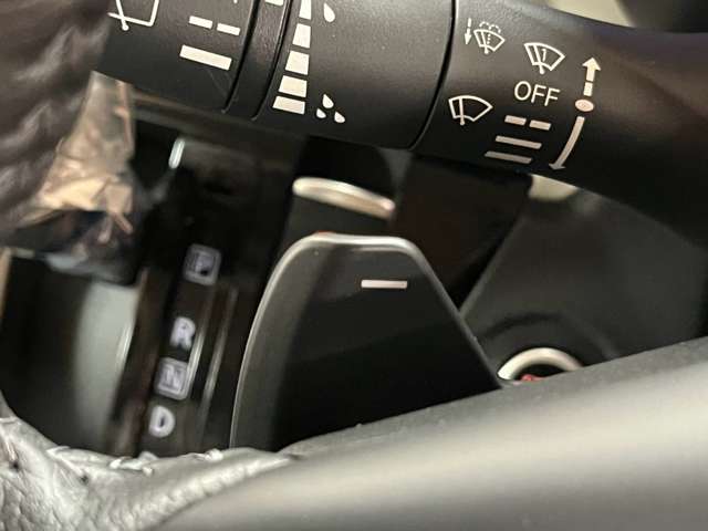 三菱 デリカ　ミニ ６６０ Ｔ プレミアム ４ＷＤ R6年 (北海道) 99