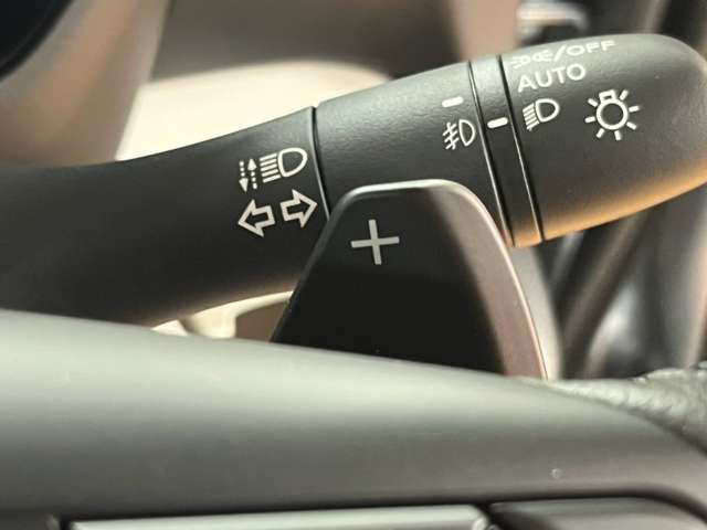 三菱 デリカ　ミニ ６６０ Ｔ プレミアム ４ＷＤ R6年 (北海道) 99