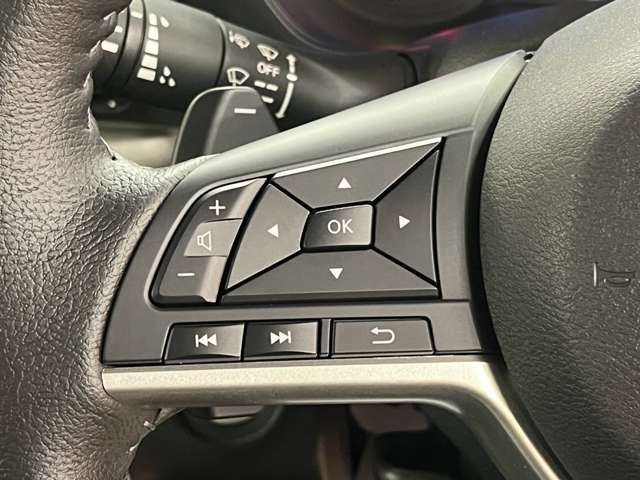 三菱 デリカ　ミニ ６６０ Ｔ プレミアム ４ＷＤ R6年 (北海道) 99