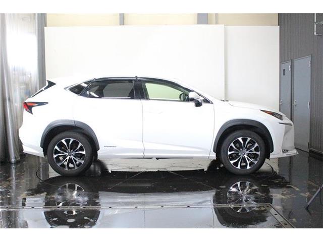 レクサス ＮＸ３００ｈ ３００Ｈ バージョンＬ ４ＷＤ H26年 (北海道) 99