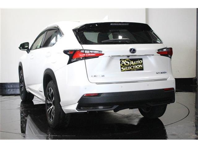 レクサス ＮＸ３００ｈ ３００Ｈ バージョンＬ ４ＷＤ H26年 (北海道) 99