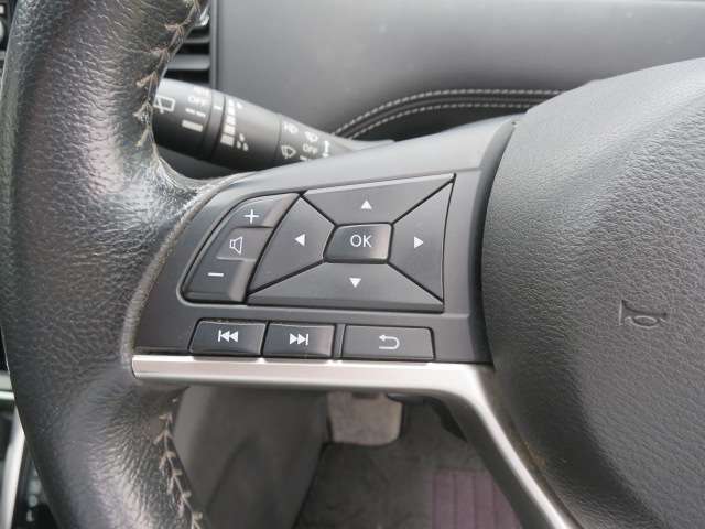 日産 セレナ ２．０ ハイウェイスター H28年 (関東) 99