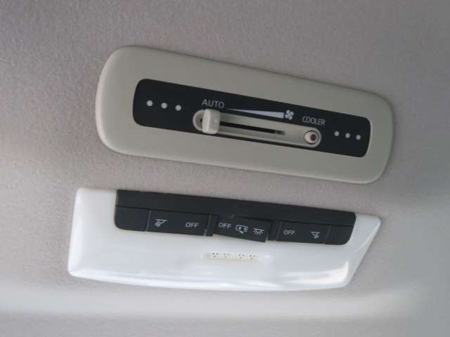 日産 セレナ ２．０ ハイウェイスター H28年 (関東) 99