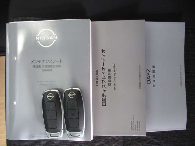 日産 デイズ ６６０ ハイウェイスターＸ R6年 (九州・沖縄) 99