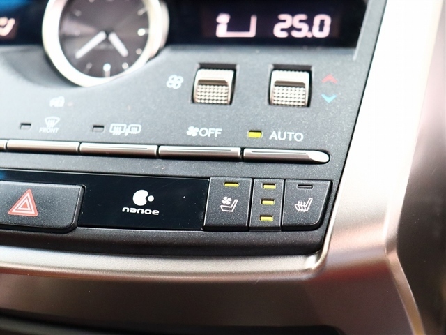 レクサス ＮＸ３００ｈ ３００Ｈ Ｆスポーツ ４ＷＤ R1年 (関東) 99