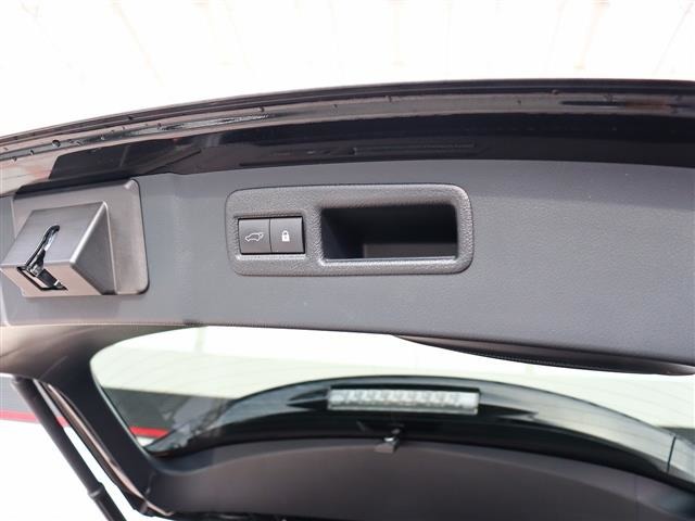 レクサス ＮＸ３００ｈ ３００Ｈ Ｆスポーツ ４ＷＤ R1年 (関東) 99