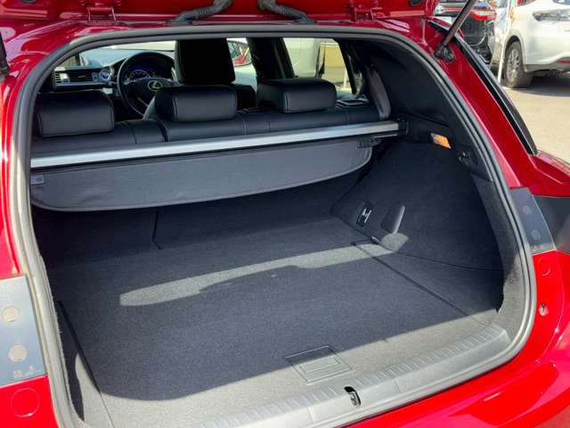 レクサス ＣＴ２００ｈ Ｆスポーツ H27年 (関東) 99