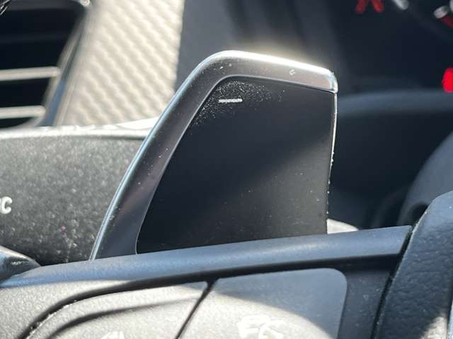 ＢＭＷ Ｘ２ Ｘドライブ２０Ｉ ＭスポーツＸ ４ＷＤ H30年 (東北) 99