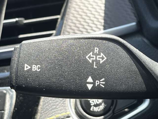 ＢＭＷ Ｘ２ Ｘドライブ２０Ｉ ＭスポーツＸ ４ＷＤ H30年 (東北) 99